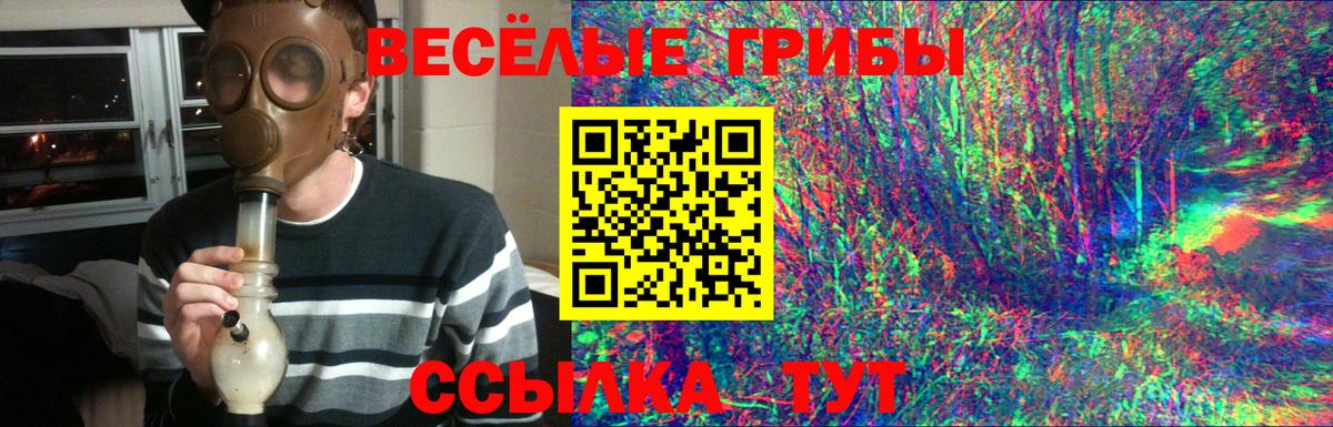 Псилоцибиновые грибы Cubensis Партизанск